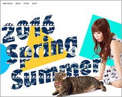 中川翔子“イラスト盗用疑惑”で掘り返される、過去の「パクリバッグ」「毛皮使用」炎上騒動