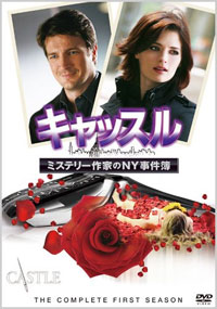 “正反対な男女”という王道ストーリーと、メディアミックスで支持層を広げた『キャッスル』