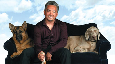 『ザ・カリスマ ドッグトレーナー』のC・ミラン、愛犬を亡くして自殺未遂!?