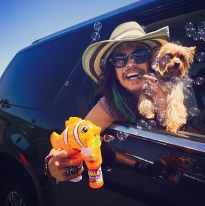 エレベーターが開いたら……スティーヴン・タイラーと、はぐれた愛犬の再会がドラマチック！