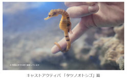 「個人の感想です」「演出です」過剰反応CMの細かすぎる「注意書き」、どこまで広がる？