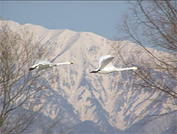 「ただ無性に腹が立つ」家をたたみ見知らぬ土地で暮らす、老老介護の妻