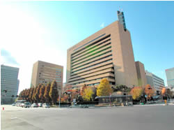 「政治とカネ」のカネはどうしてカタカナ表記なんですか？