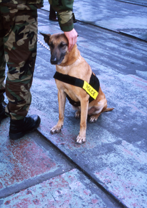 「キミのラバーになりたい」告白も興ざめ、大好きなブラックメンと“ヤらなかった”話