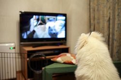 セックスの経験がないのは恥ずかしいことか？　「中年処女」の知られざる実態