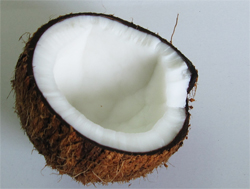 「全身じゃなくてアソコだけ」ココナッツオイル使用サロンに潜入もトホホな結末に……