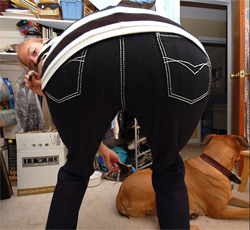 骨盤矯正ヨガ24回分の効果は本当？　赤丸急上昇の骨盤矯正ショーツのヒミツ