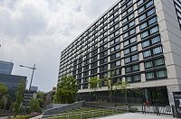 永田町で「愛人顔」に分類される女性とは？　男性議員と女性秘書のヘンな距離感