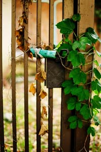 「ゴミ屋敷同然でした」女性経営者が知った、一人暮らしのお得意様の本当の姿