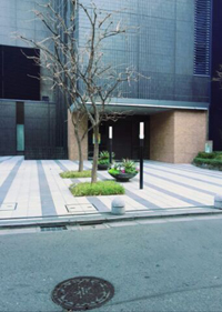 保育園で得た経験をもとにシッター業に参入！　小学生ママも利用してほしいサービスを充実