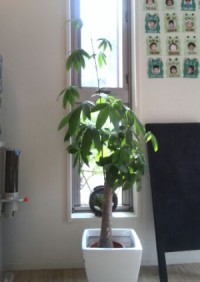 同級生のいじわるに対する先生の対応は？　ママ友との関係は？　私立小の1年間