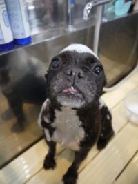 高い料金設定でも大人気、次の保育ビジネスのチャンスは「サマースクール」にあり!?