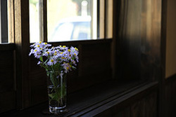 「家族と住むと汚部屋は掃除してもらえない」訪問看護師の抱える介護保険のジレンマ