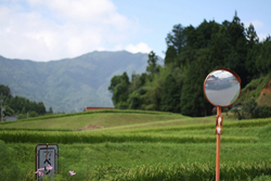 母の認知症疑惑……離婚して地元に戻った一人娘が、「間に合った」と思った理由とは