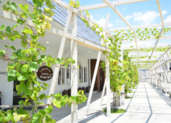 【PR】ワインや秋の味覚を堪能し、地元男性とも出会える日帰りバスツアー！