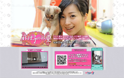 美人女子アナが「ワンちゃんプレイ」をしてくれる（？）深夜番組