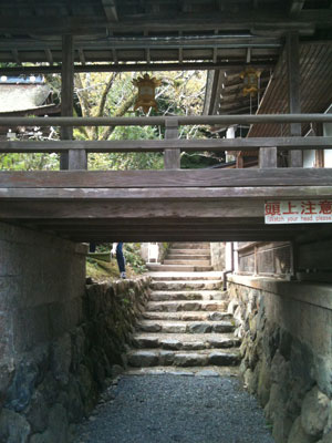 細く山道を通り、着いた先は……どこまでも期待を裏切る松尾大社有料ゾーン