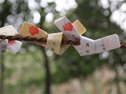 年末年始のエロ活動計画！　最新グッズで気持ちよく新年を迎えましょう