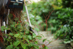 「夫にも義父母にも上から目線」ご近所トラブルの火種をまく母に、娘は……