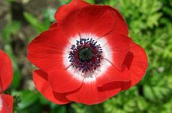 スピリチュアル雑誌を読んでみたら「あなたの知らない世界」だらけだった！