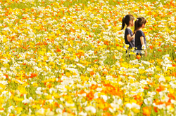 “お受験殺人”の名で隠された、「音羽幼児殺人事件」“ママの世界”の本質