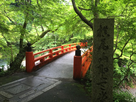 京都・高雄で発見、本堂が閉まりっぱなしの謎の寺！　“まんじりと見張られる”拝観体験