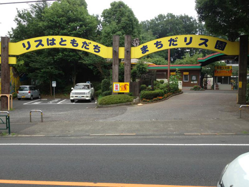 ドブネズミ風のリスも放し飼いに、いちかばちかのデートスポット「町田リス園」