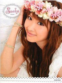 ブログでコツコツ稼ぐダルビッシュ紗栄子のサエコノミー