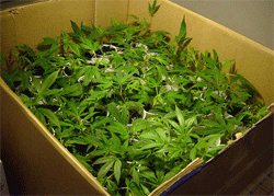 加勢大周んチのクローゼット事情