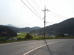 「こんな場所で不貞行為を？」避難地区であらわになった夫婦の不和