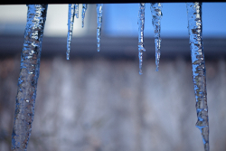 「物語性」なき犯罪者、歴史に沈んだ死刑囚・杉村サダメの獄中晩年