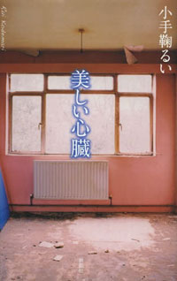潔癖症な現代人に恋愛のみっともない美しさを提示する『美しい心臓』