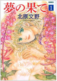 時代を逆行する設定とやわらかな絵で、殺伐とした話が紛れた『夢の果て』