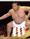日馬富士引退会見の裏にあるものと、貴乃花親方の「鬼退治」計画