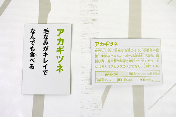 【ダイソーVSセリア】100均「かるた」対決！　歴史や生き物を遊びながら学べるの画像7