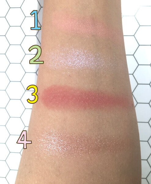 手に載せた様子