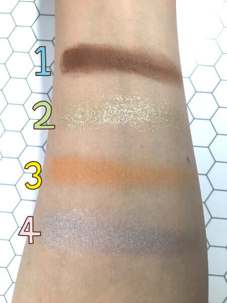 手に載せた様子