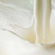 「牛乳って注げば全部白いじゃないですか」…これまで飲んだ牛乳は700種類！　ミルクマイスター高砂が語るミルクの魅力