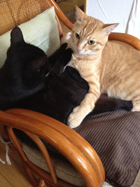 1歳の姪とルームメイトとの女3人暮らしで、「女の友情」の見方が変わりました