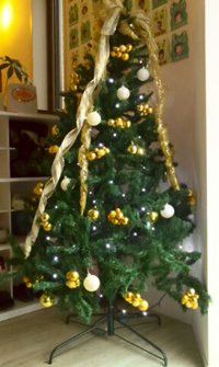 園児が慶應横浜初等部に合格！　「お受験の準備スタートのタイミング」をお教えします