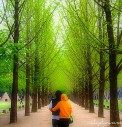 韓国人男性と結婚した【日本人妻会】で繰り広げられる、壮絶な愚痴の数々