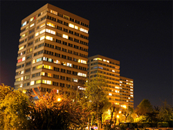 数千万単位の婚活詐欺被害に注意!!　結婚願望を利用する卑劣な犯罪の存在