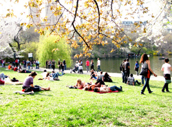 真っ昼間からエロトーク！　女性が「性」を語る時につきまとう面倒くささ