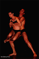 「その日の気分で変える、8つの体位」ガチ・実践レポート!!