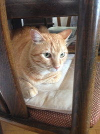 妹の赤ん坊と、義弟の連れ子。養護施設へ入れずに引き取ったのは、自分のためです