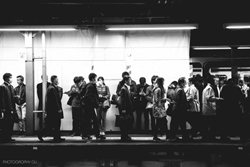 チカン抑止シールと、男の罪を憎めない男たち