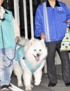 元極妻が考える「暴排の暴走」――かわいすぎる「暴排犬」と警察の情報漏洩問題