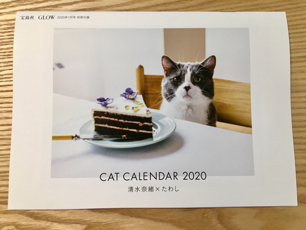 2020年猫カレンダー