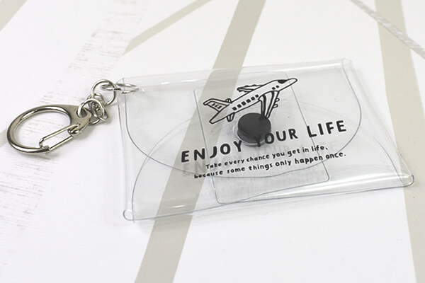 【100均ずぼらシュラン】ダイソー「マルチケース（PMU ファントリップ ラインドローイング）」カバンに入れた小物が一目瞭然の画像1