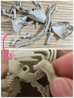 【付録レビュー】「バカにはできぬクオリティ」大人も大興奮！　「小学一年生」10月号、恐竜プラモデルがすごい【児童向け総合雑誌】の画像5